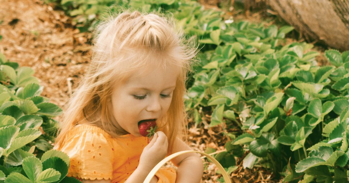 <p>Hot days can make keeping toddlers cool, hydrated, and nourished a real challenge. As the thermometer creeps higher, and little ones whizz around the garden, they’ll burn through energy and dehydrate and won’t always remember to pause for a snack or a drink.  </p>