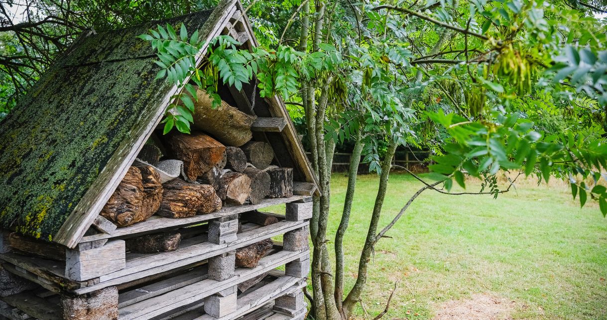 <p>We’ve pulled together a selection of autumn activities for children, packed with creative ideas designed to entertain and educate. </p>

<p>From seasonal storytelling sessions to enjoying the sensory delights of crunchy leaves, we’ve got you covered with a batch of children&rsq</p>