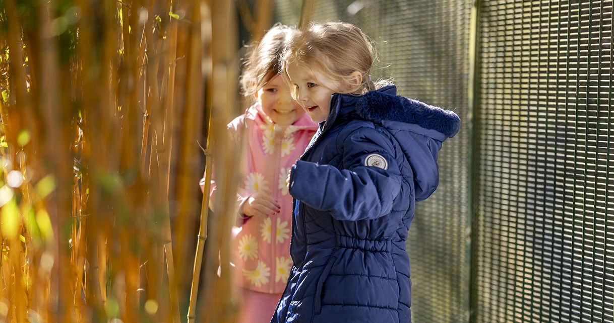 <p>Live in (or near) Salisbury? Eager to spend some quality time together as a family that doesn’t involve raincoats, wellies, and the regular strategic deployment of hot chocolate? We’ve got you.  </p>