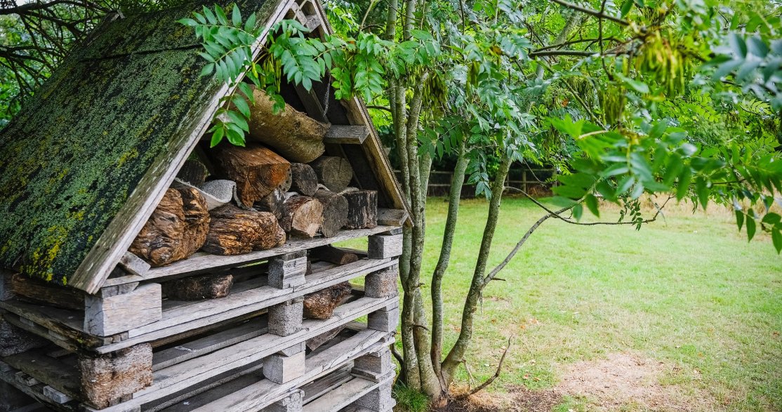 Busy Bees Cambridge Westwick gallery photo